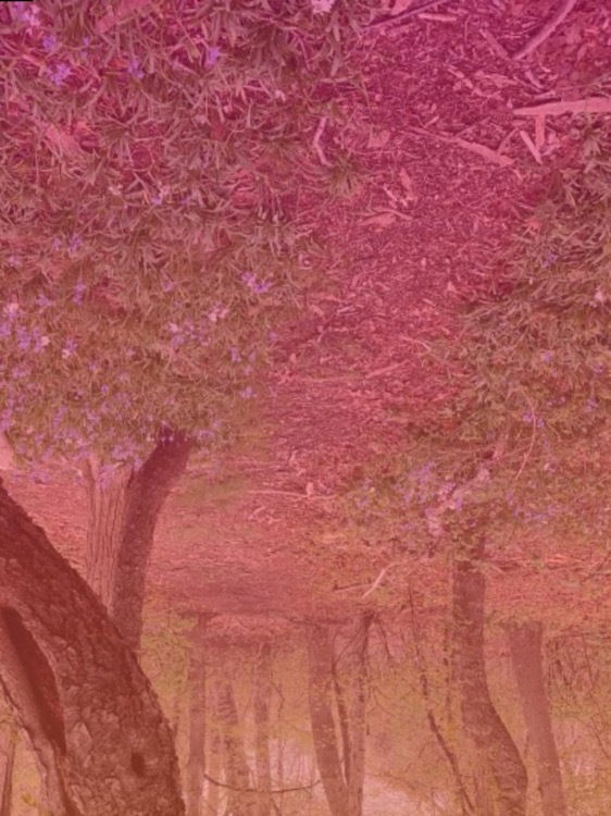 Sweetie ๐ profile banner