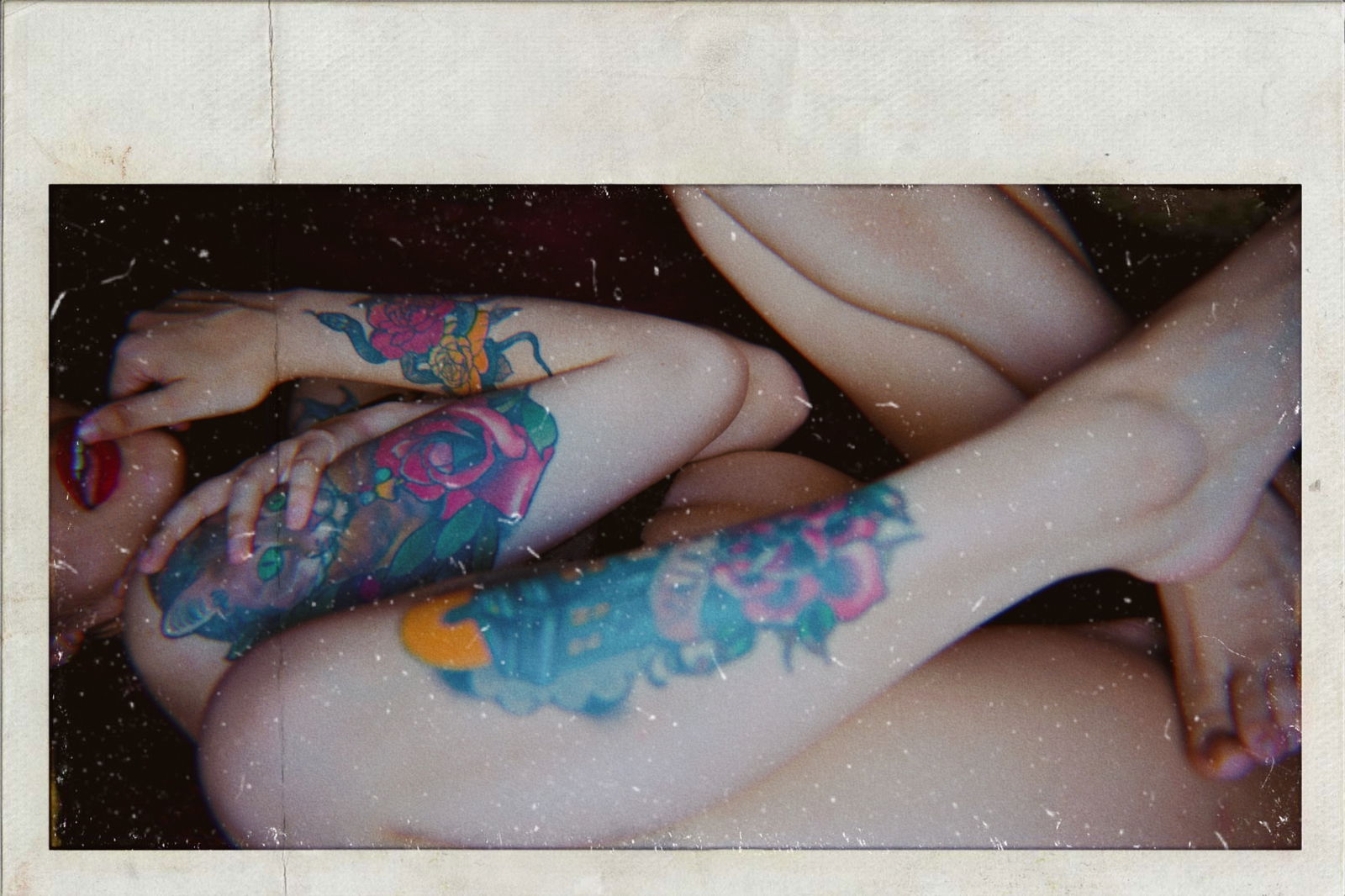 SophieRose profile banner