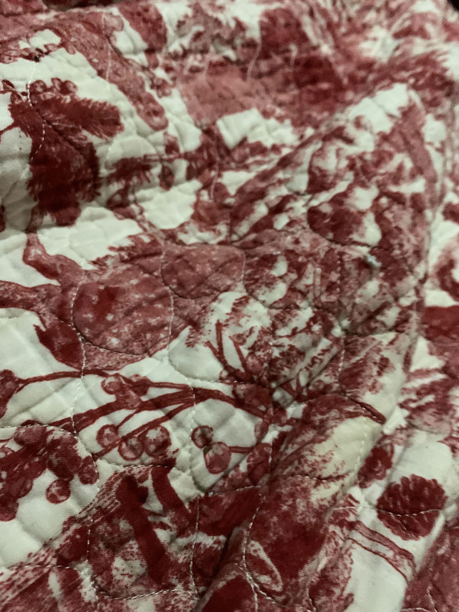 Space Toes ❤️ profile banner