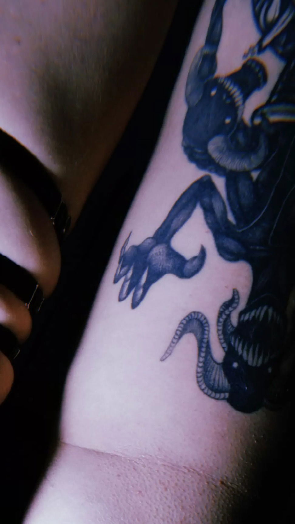 🔥Spicy.Poison🔥 profile banner