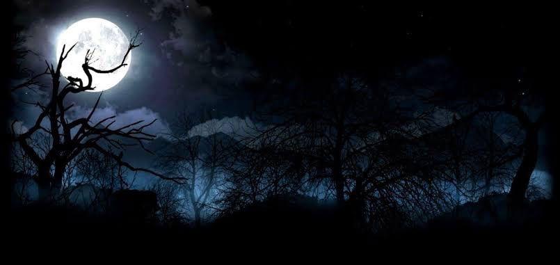 moon profile banner