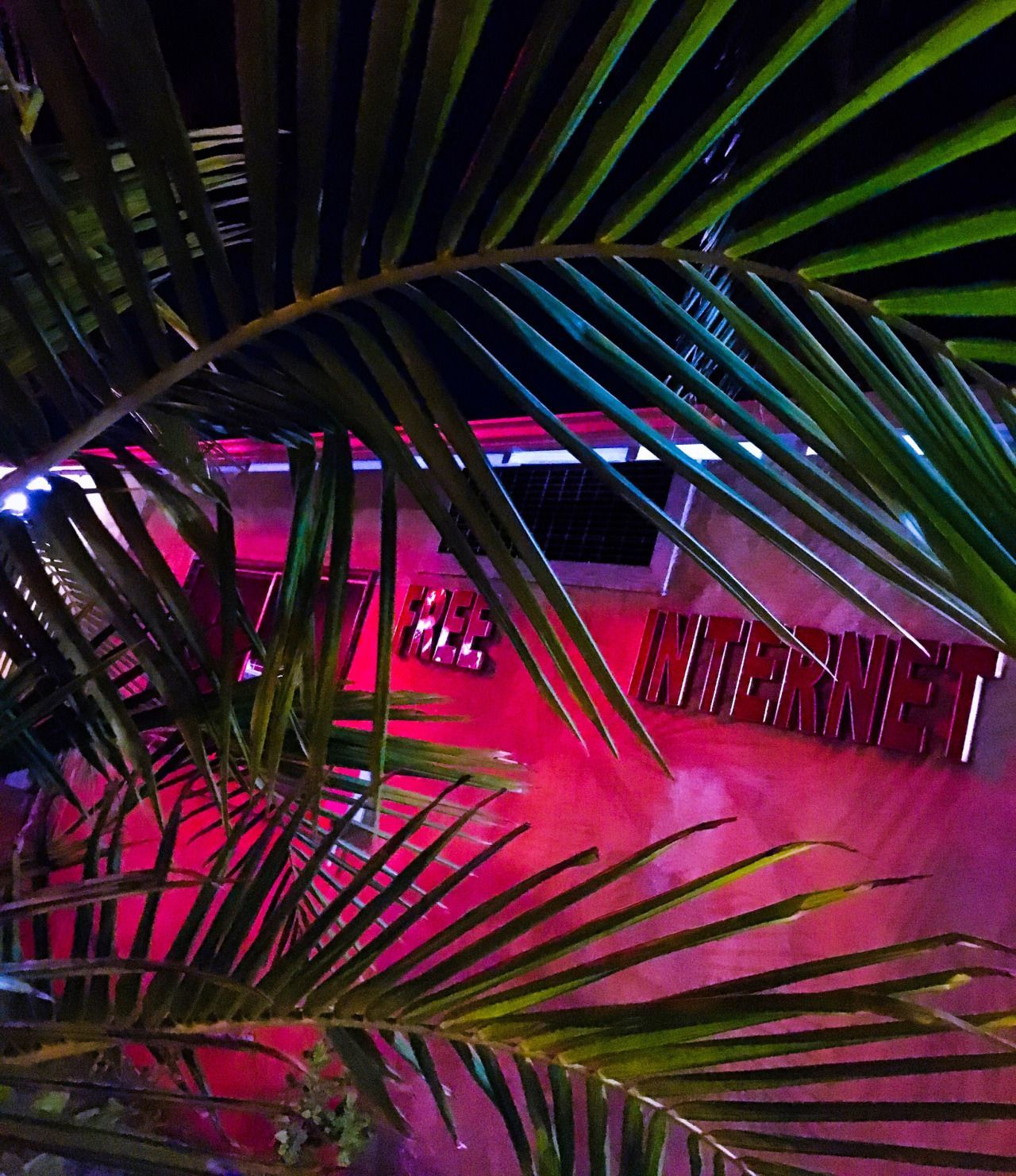 squid! profile banner