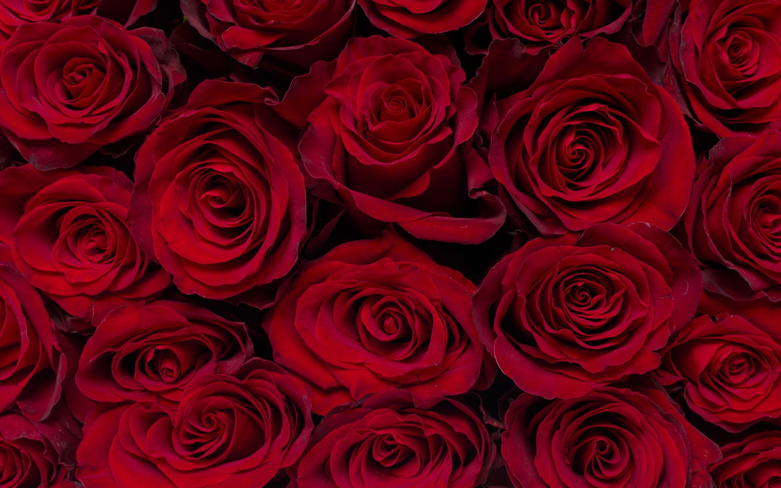 SexySecret profile banner