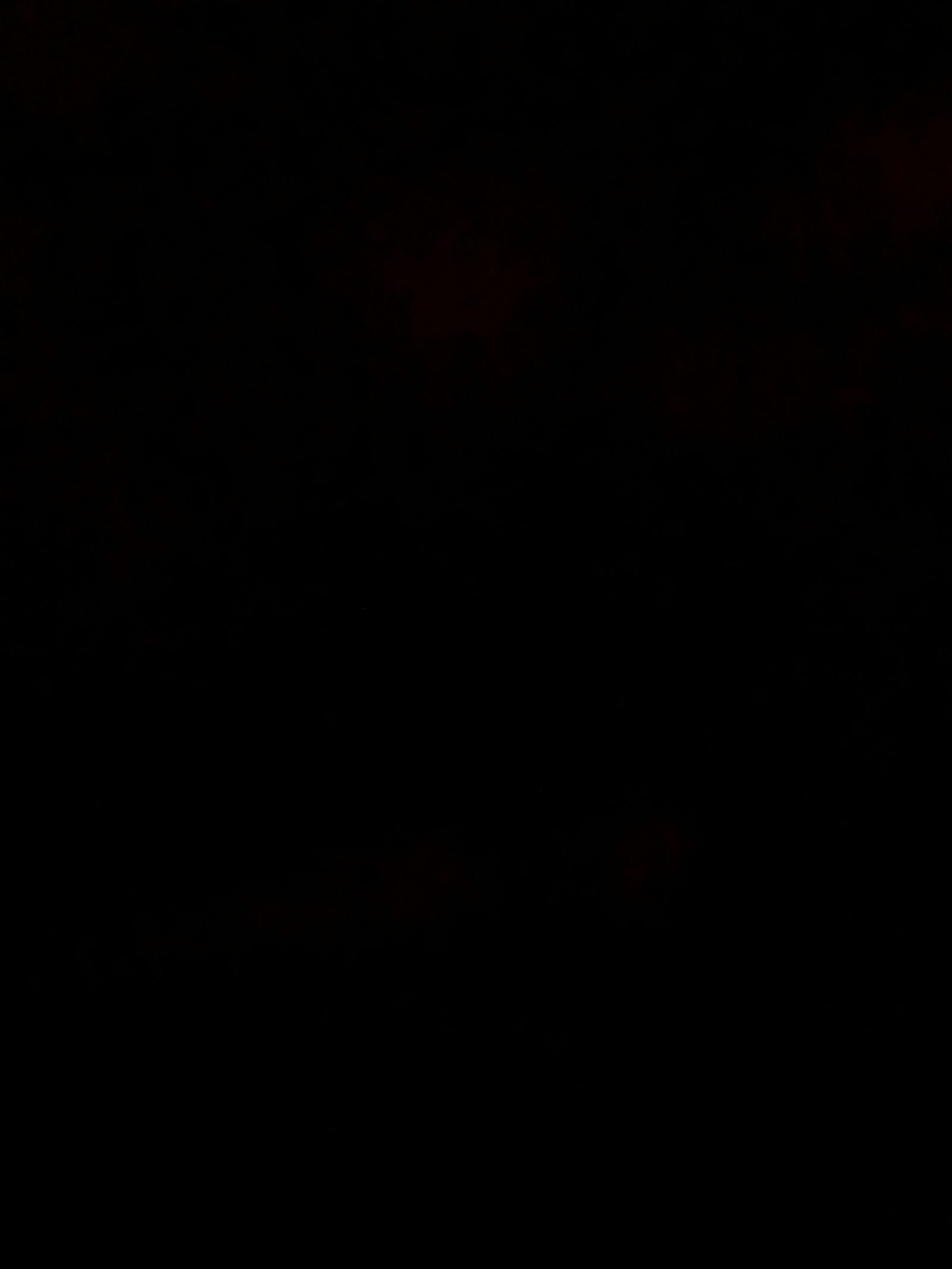 mr BIGZ profile banner