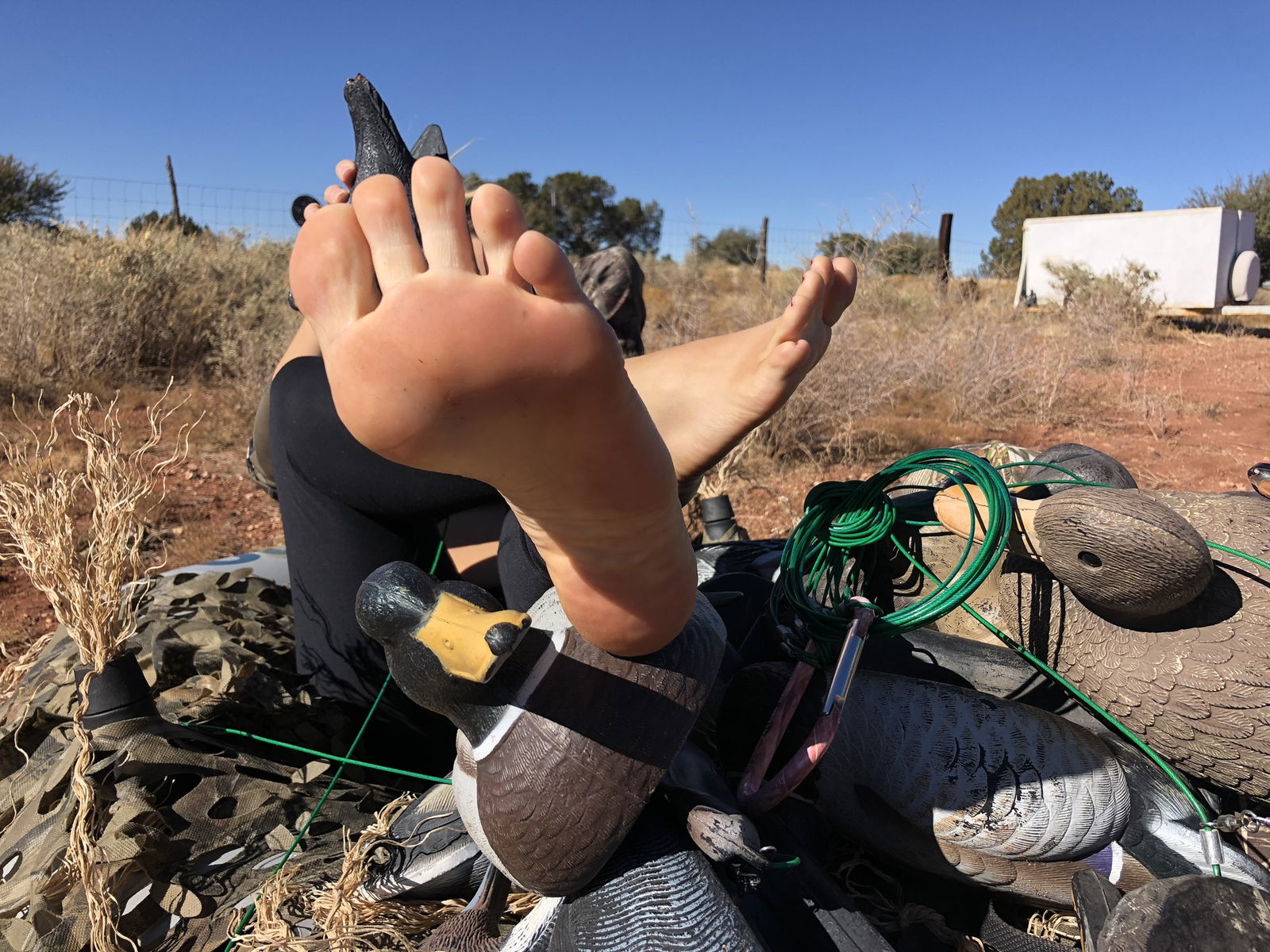 Stacey's Sweet Feet profile banner