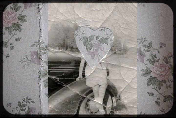 bunni profile banner