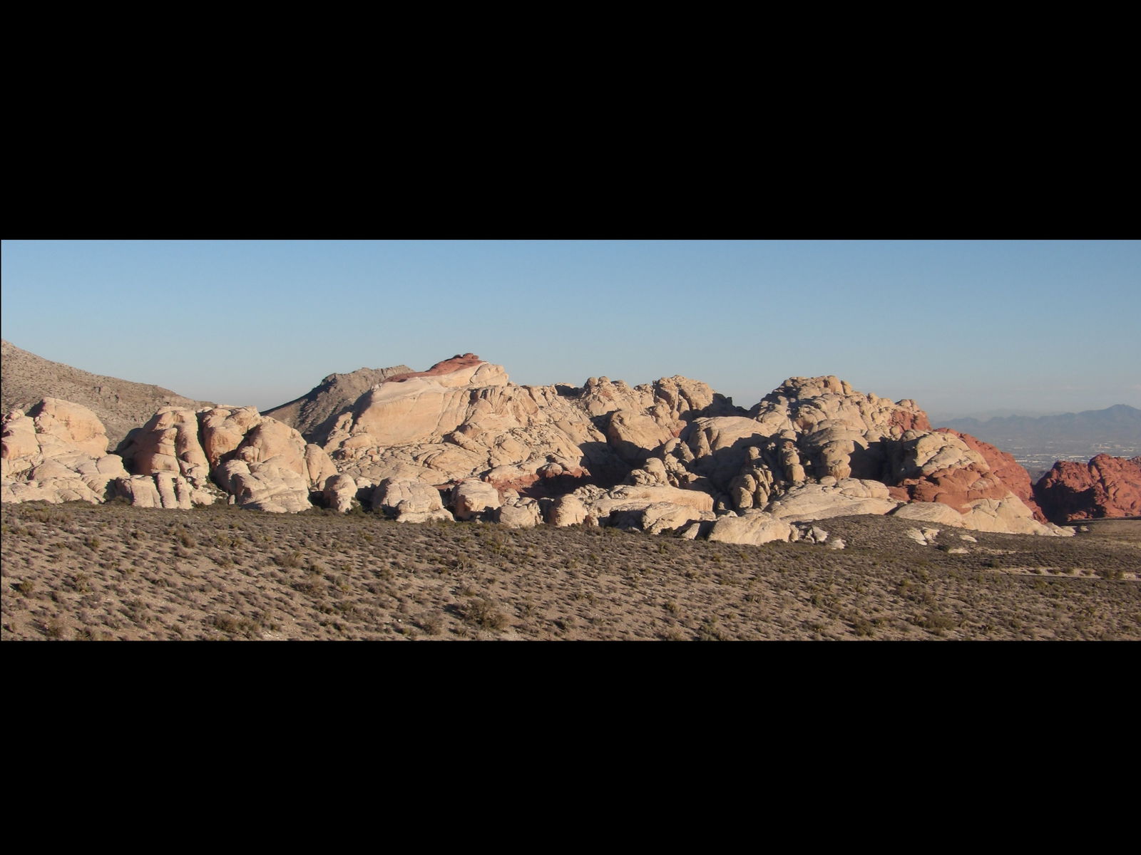 The Wild Lifestyle profile banner