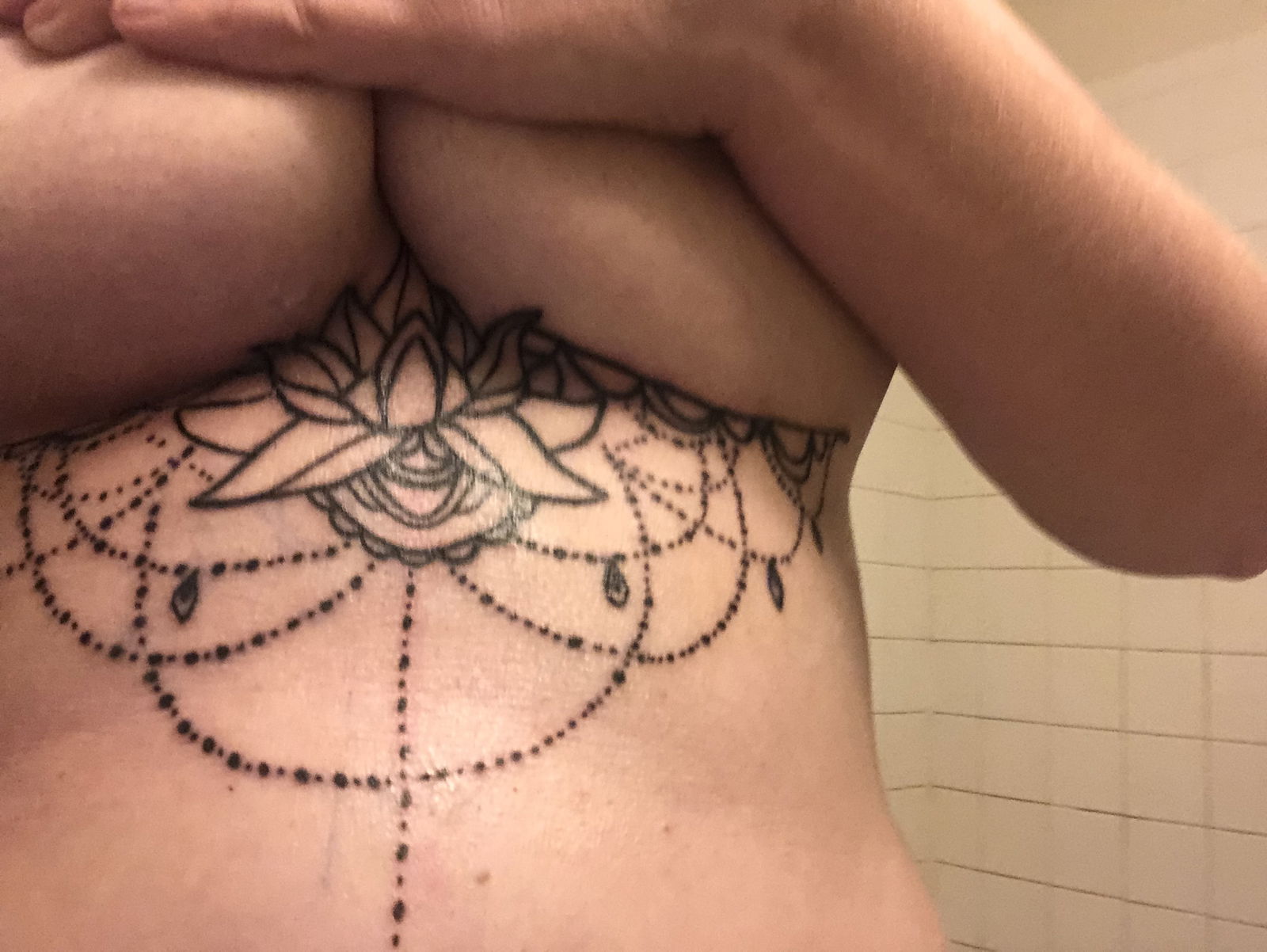 Stella rose profile banner