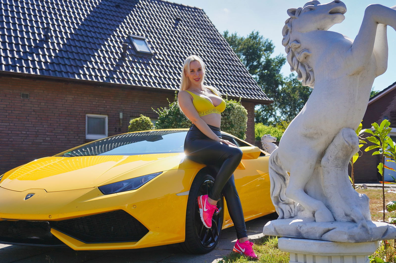 stellacinderella69 banner