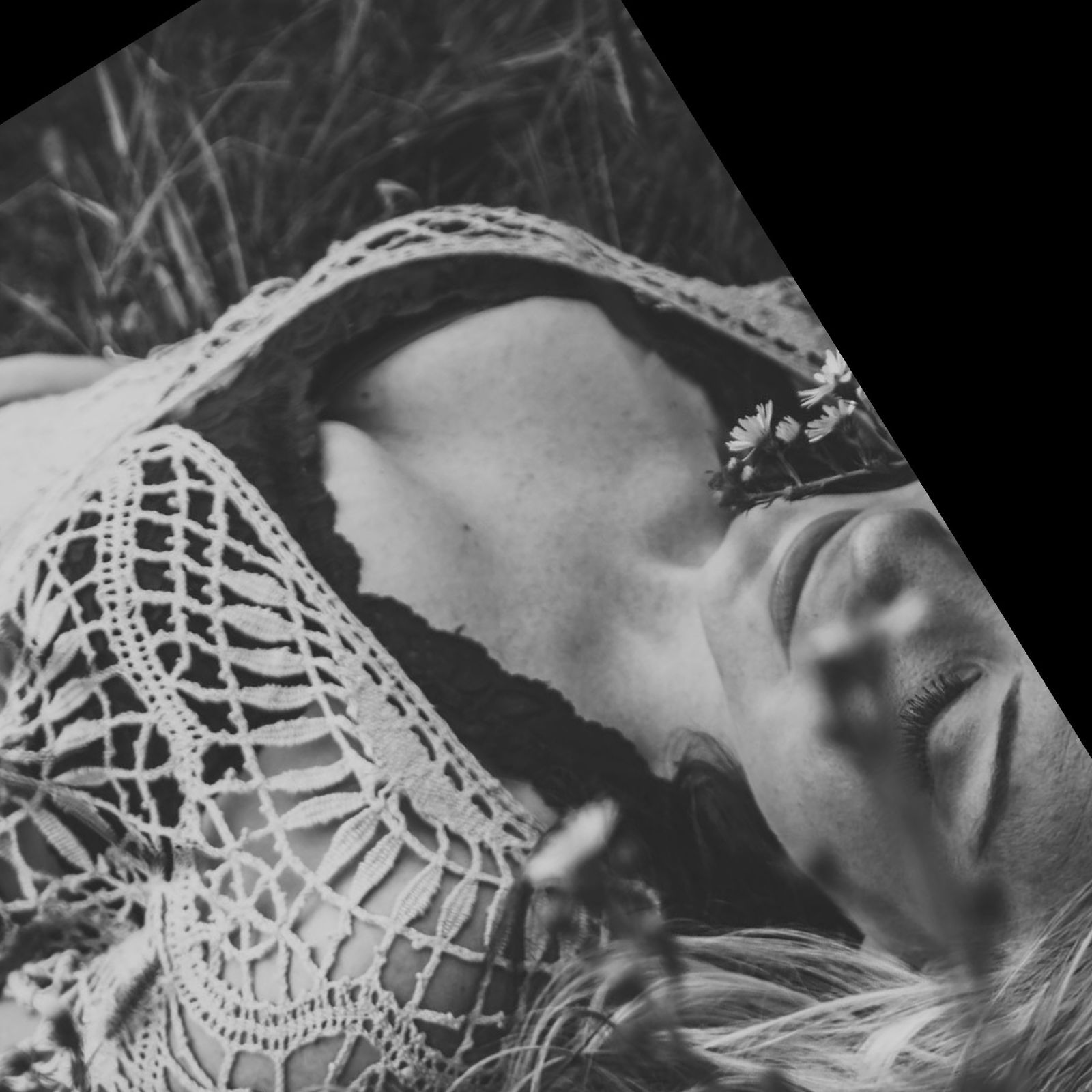 Stella Rose profile banner
