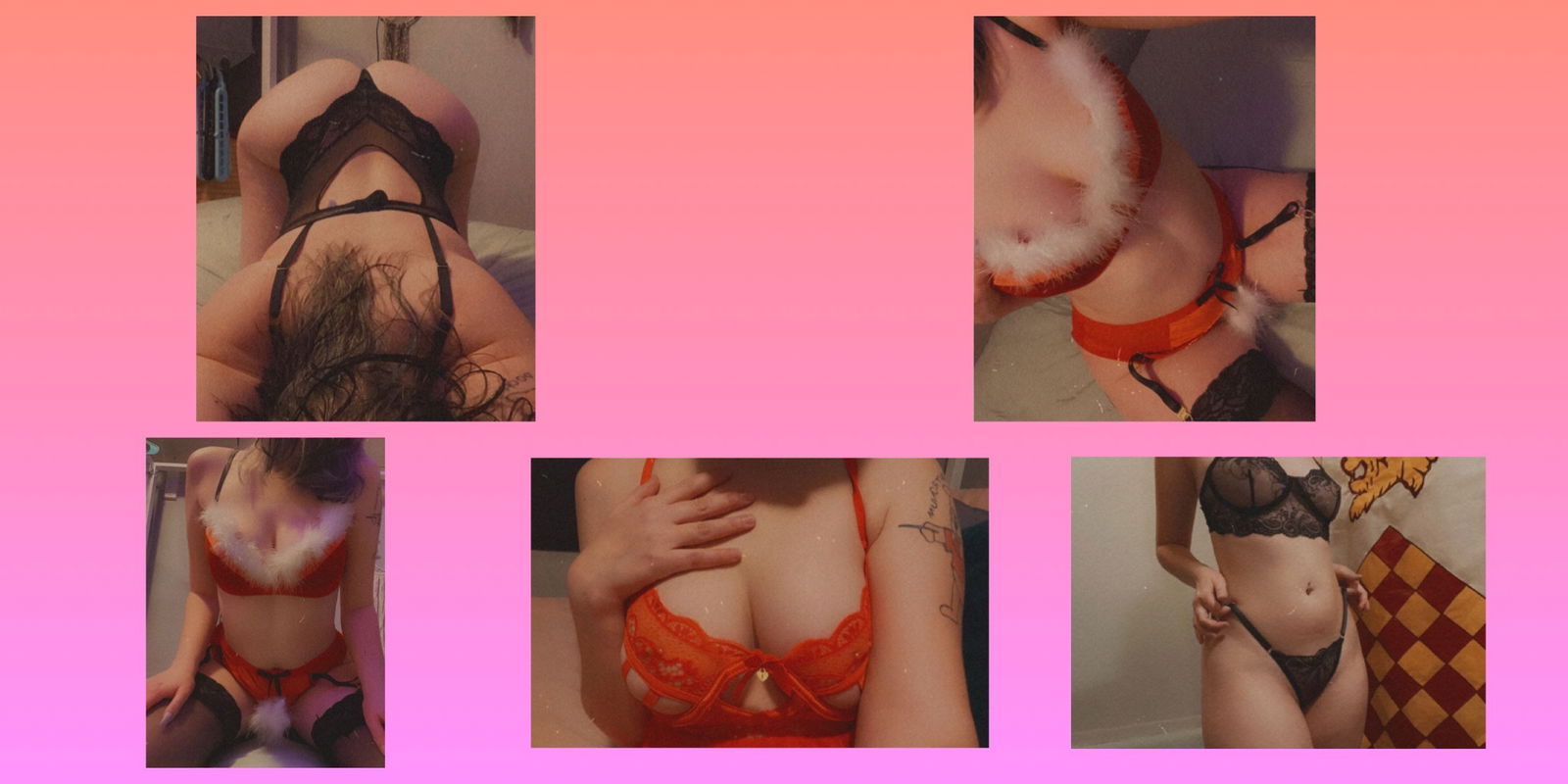 Stevie β€οΈβπ₯π¦ profile banner