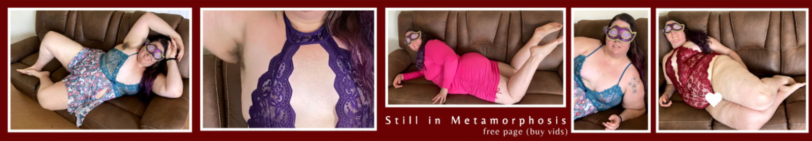 stillinmetamorphosis banner