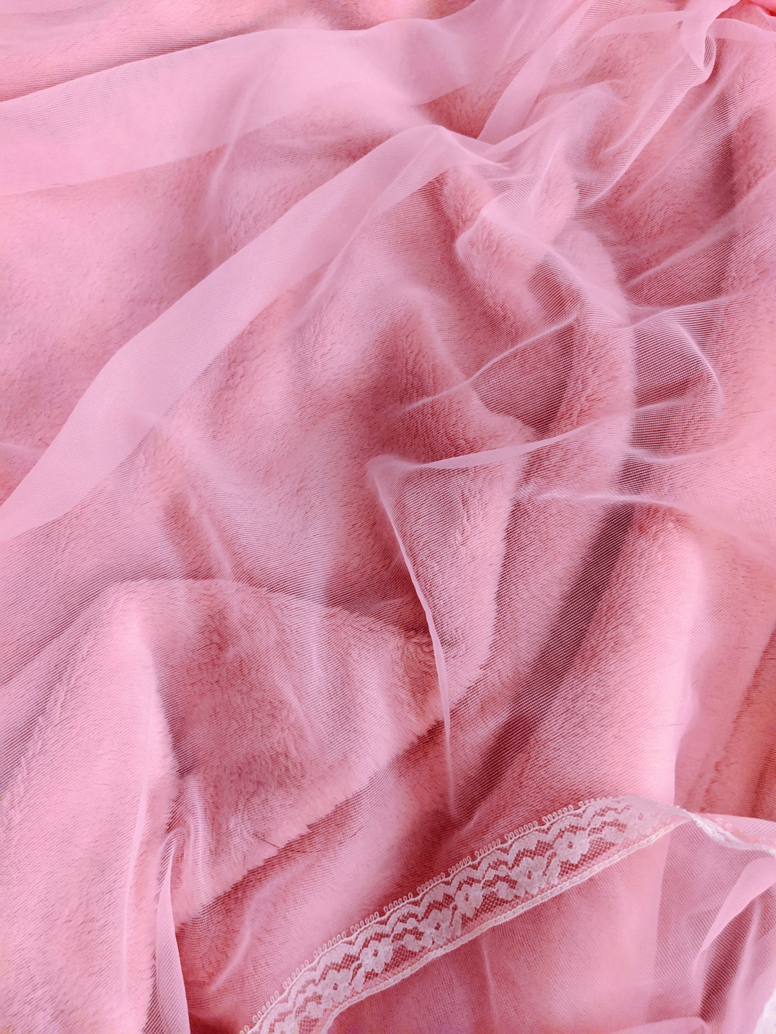 Christi profile banner