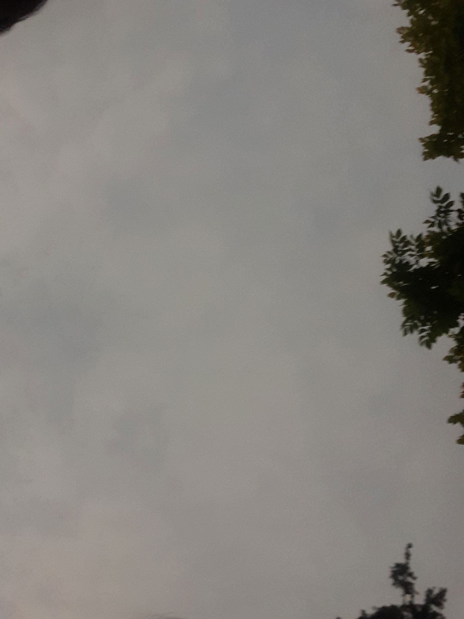 Dizzy profile banner