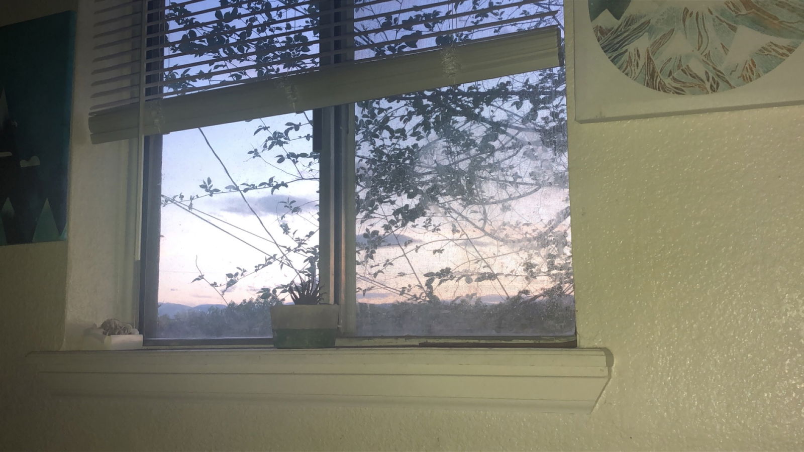 Lit shit profile banner