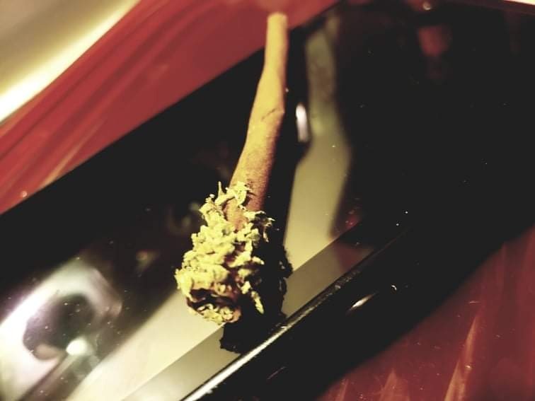 Stonerthekidd profile banner