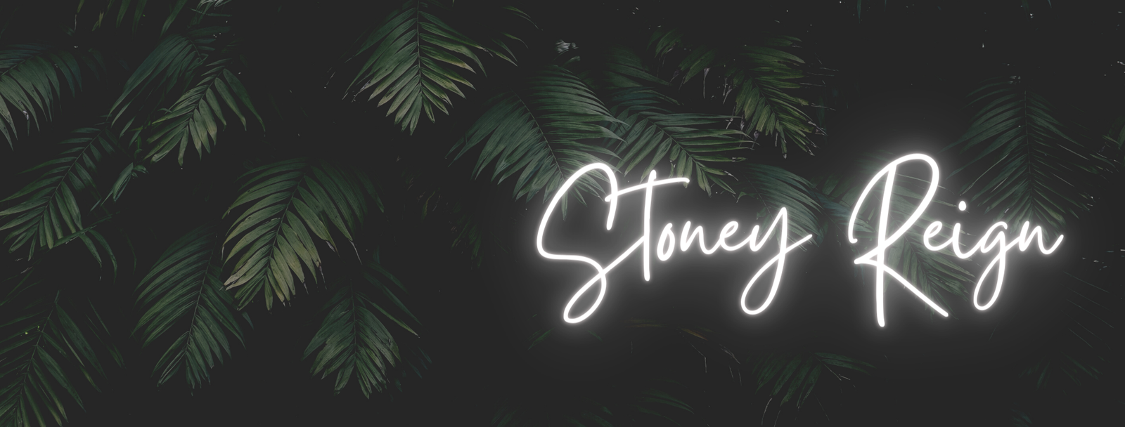 Stoney profile banner