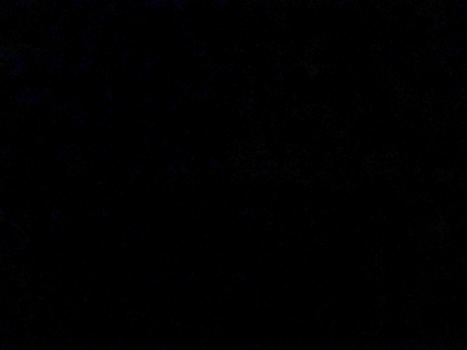 SubbPup profile banner