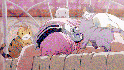 hime profile banner