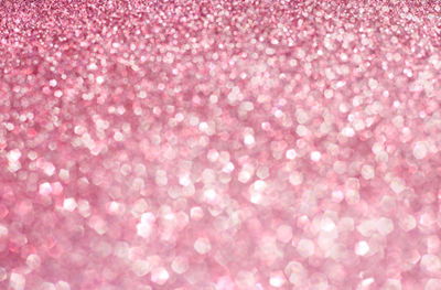 princess profile banner