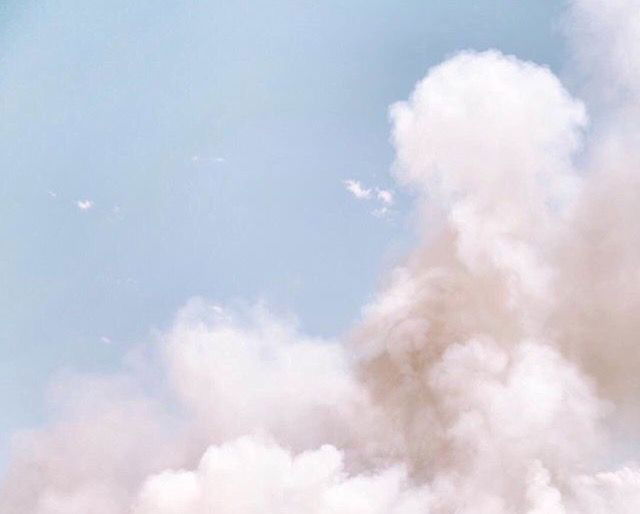 Sasha profile banner
