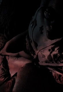 Sunflower Babe profile banner