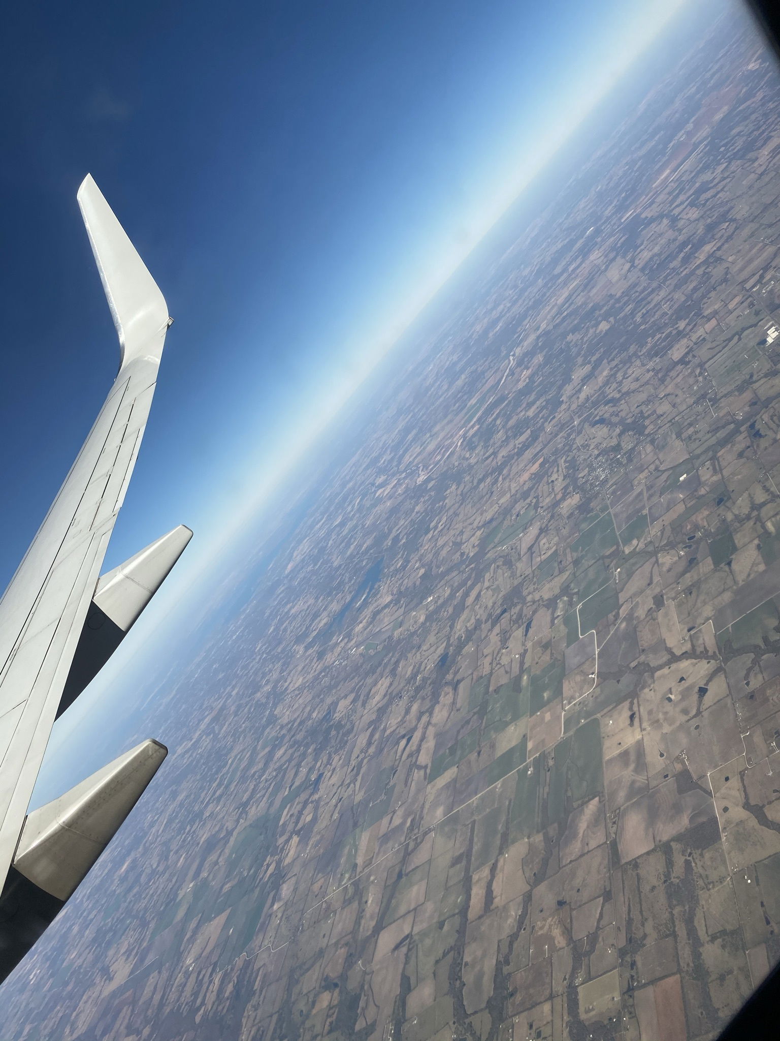 M profile banner