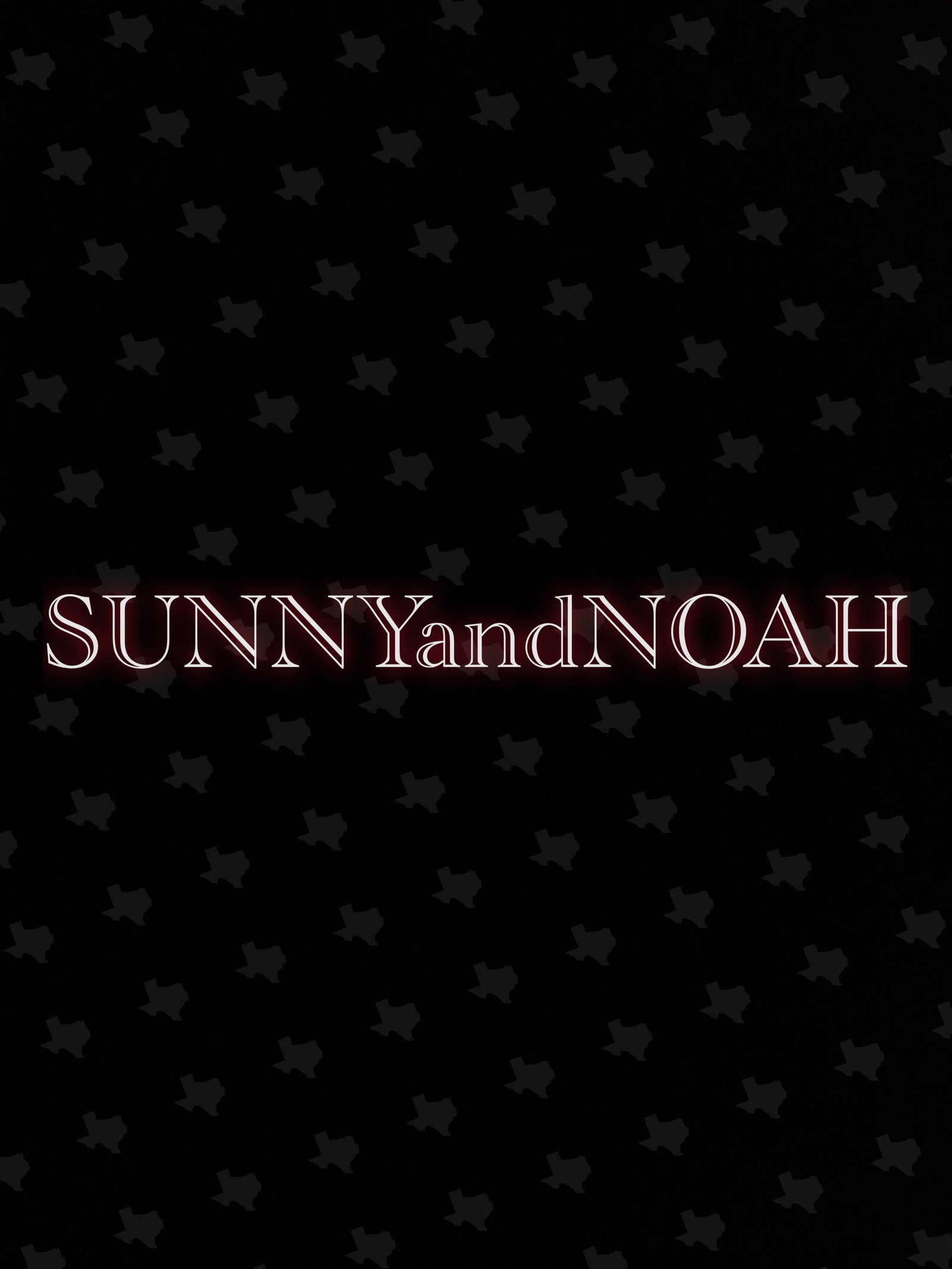 sunnyandnoah banner