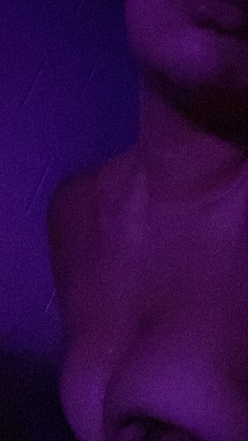 Sunny Shanni profile banner