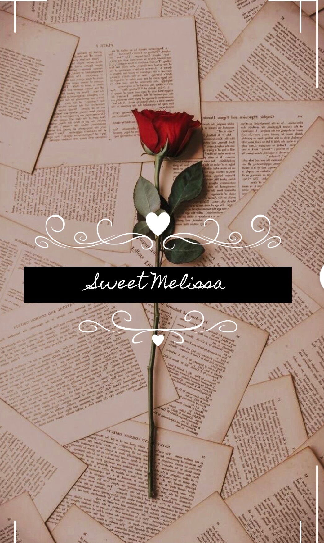 Melissa π profile banner
