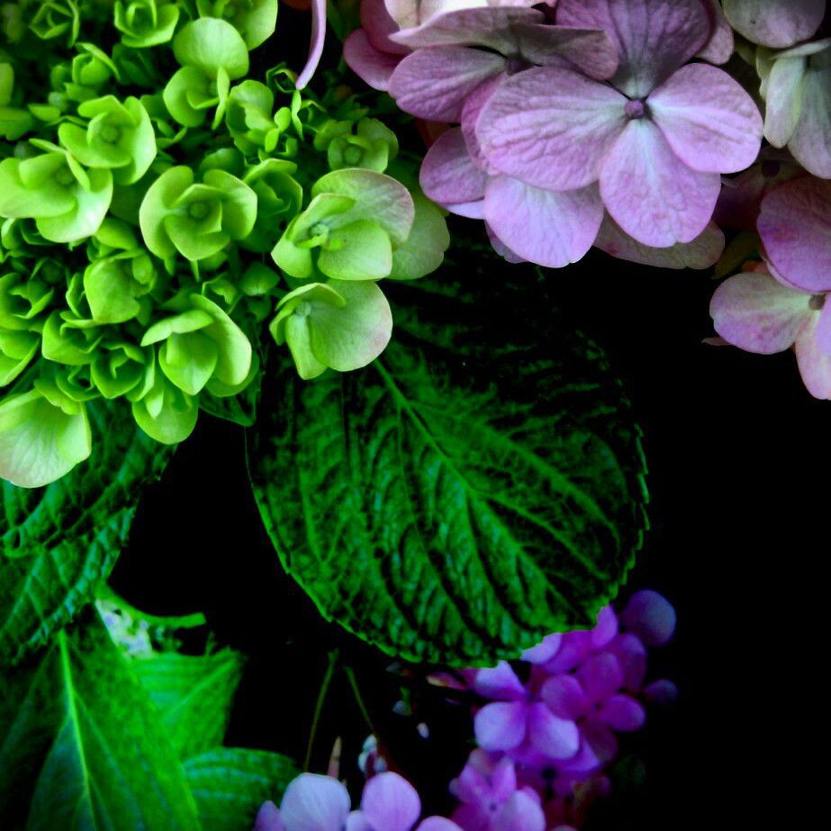 sweet_stacie69 banner
