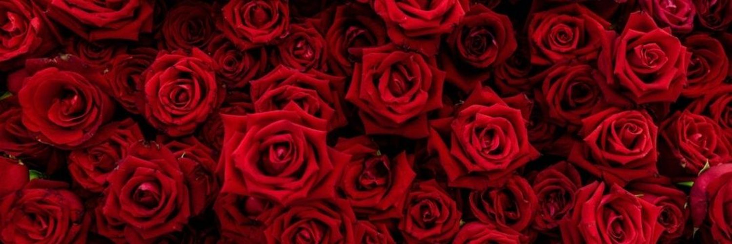 π― profile banner