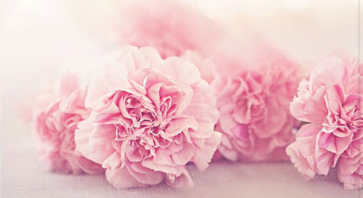 SweetHoney profile banner