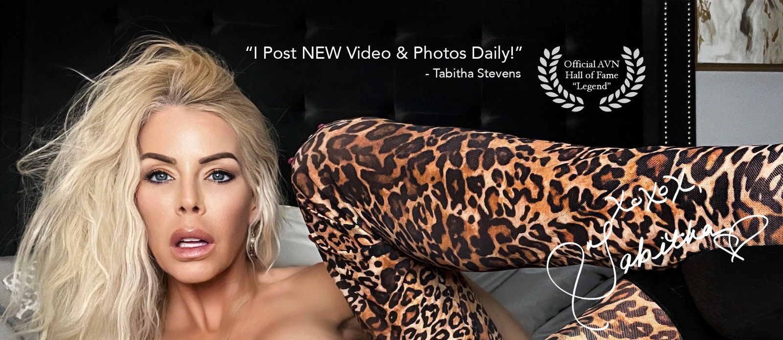 Tabitha Stevens profile banner