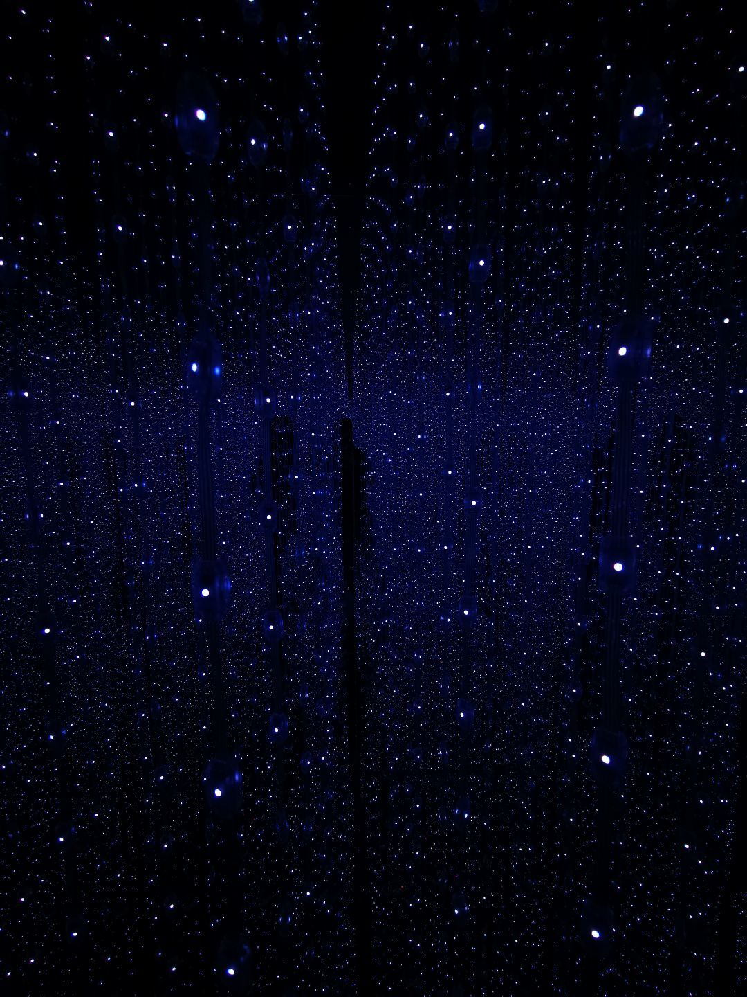 TallyRayne profile banner