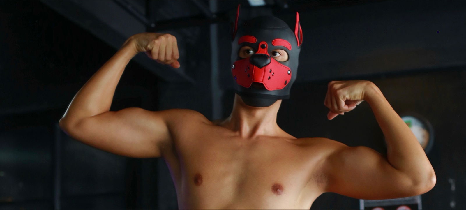 Tanboyshow profile banner