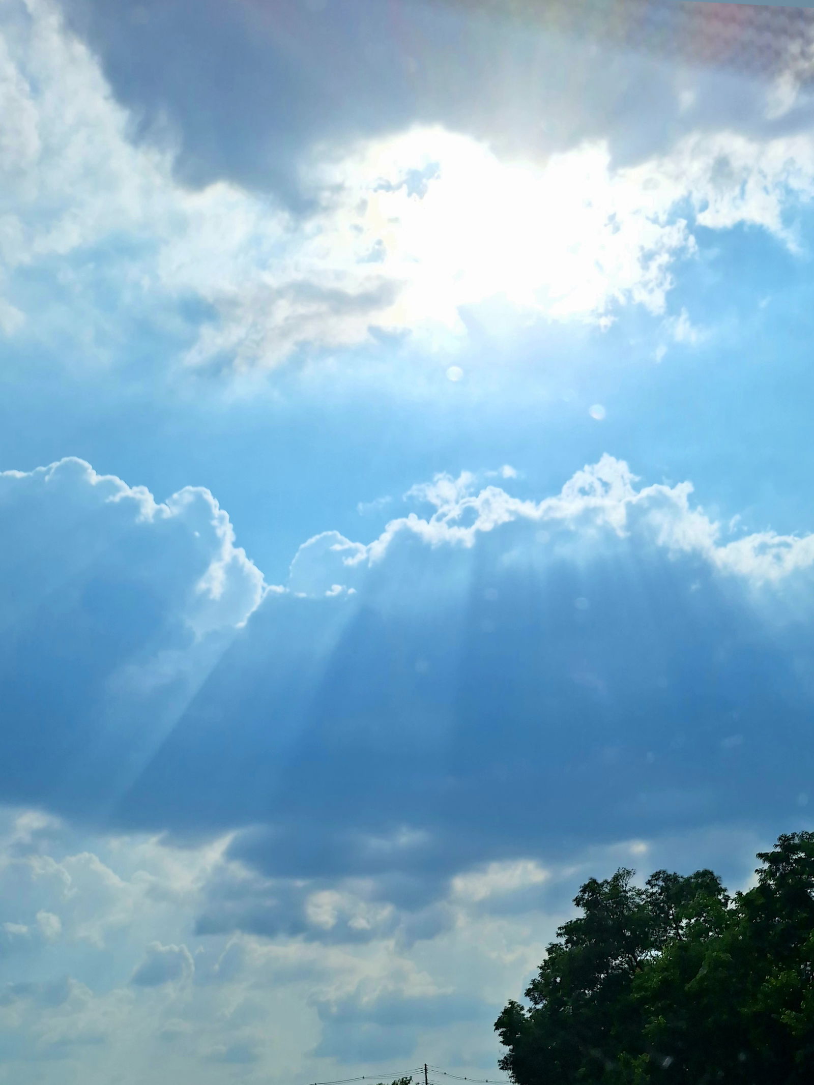 Cheeekz profile banner