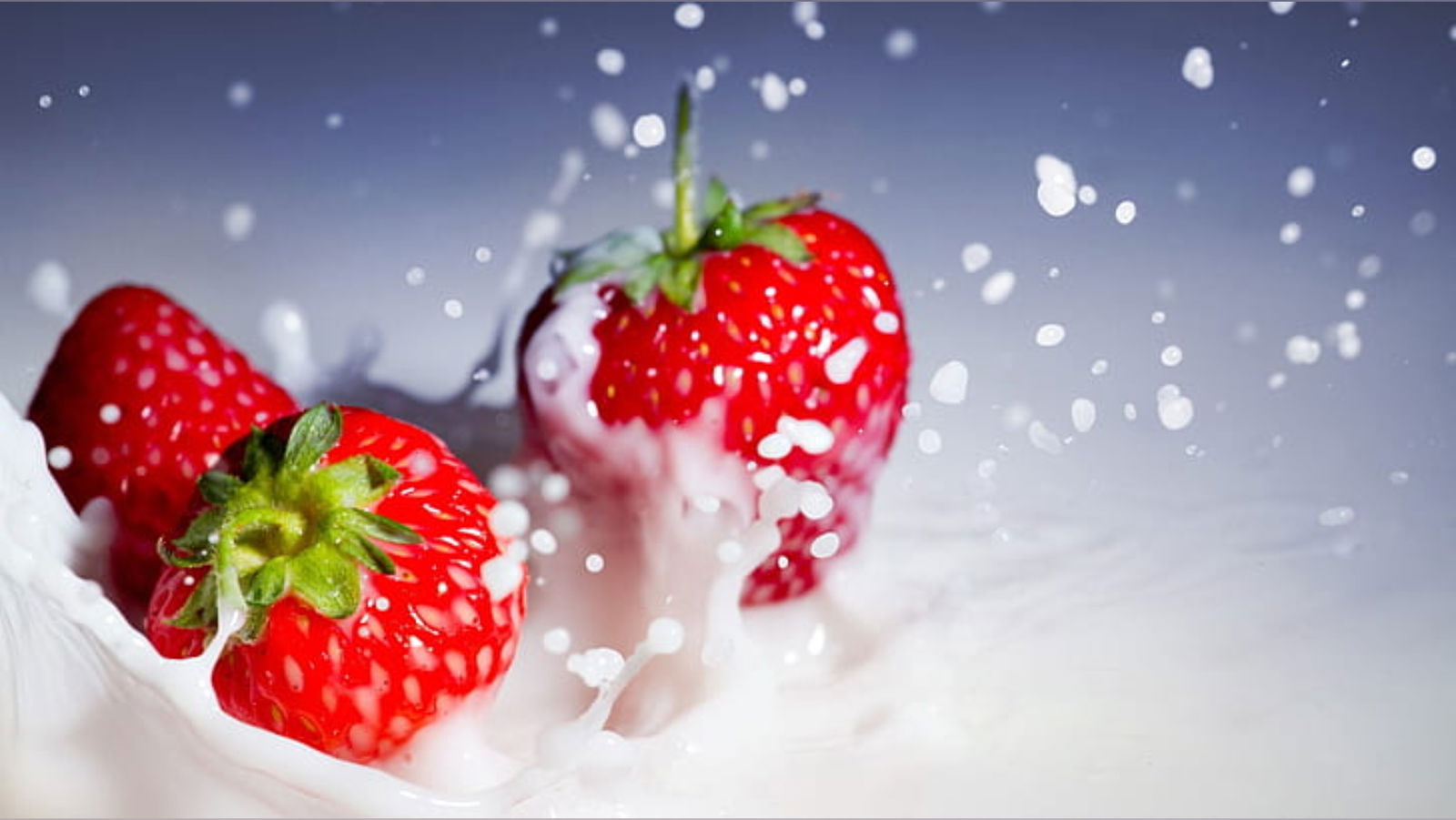 tastemyrainbow24 banner