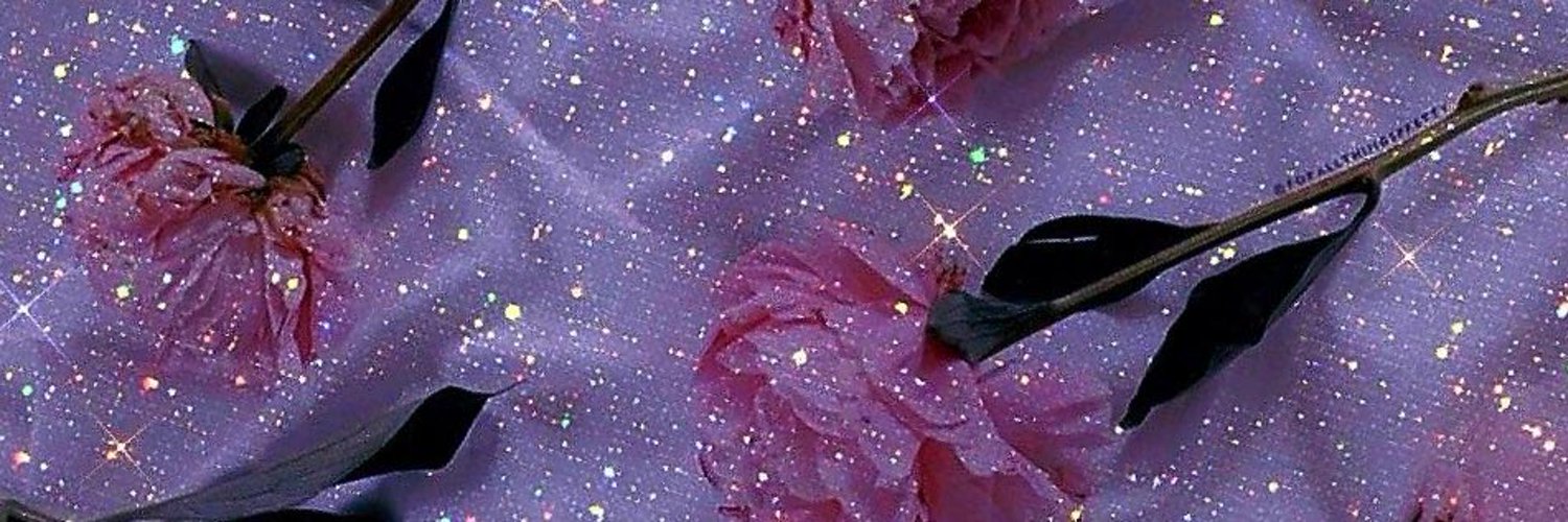 Arianna ππ profile banner