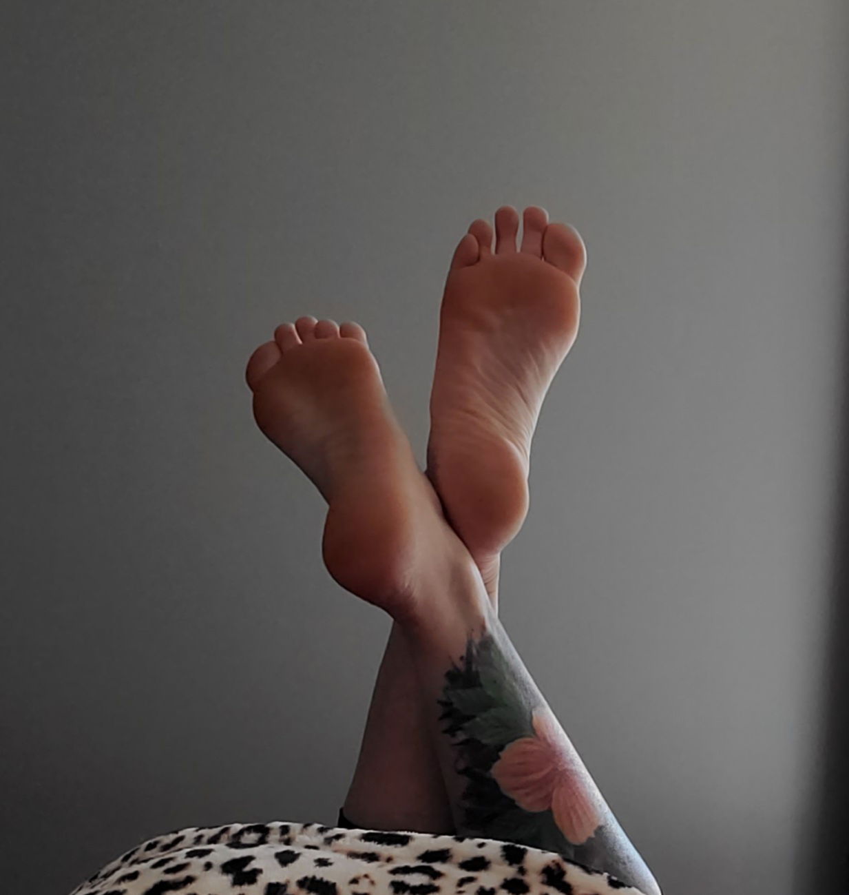 TattedTeases💋 profile banner