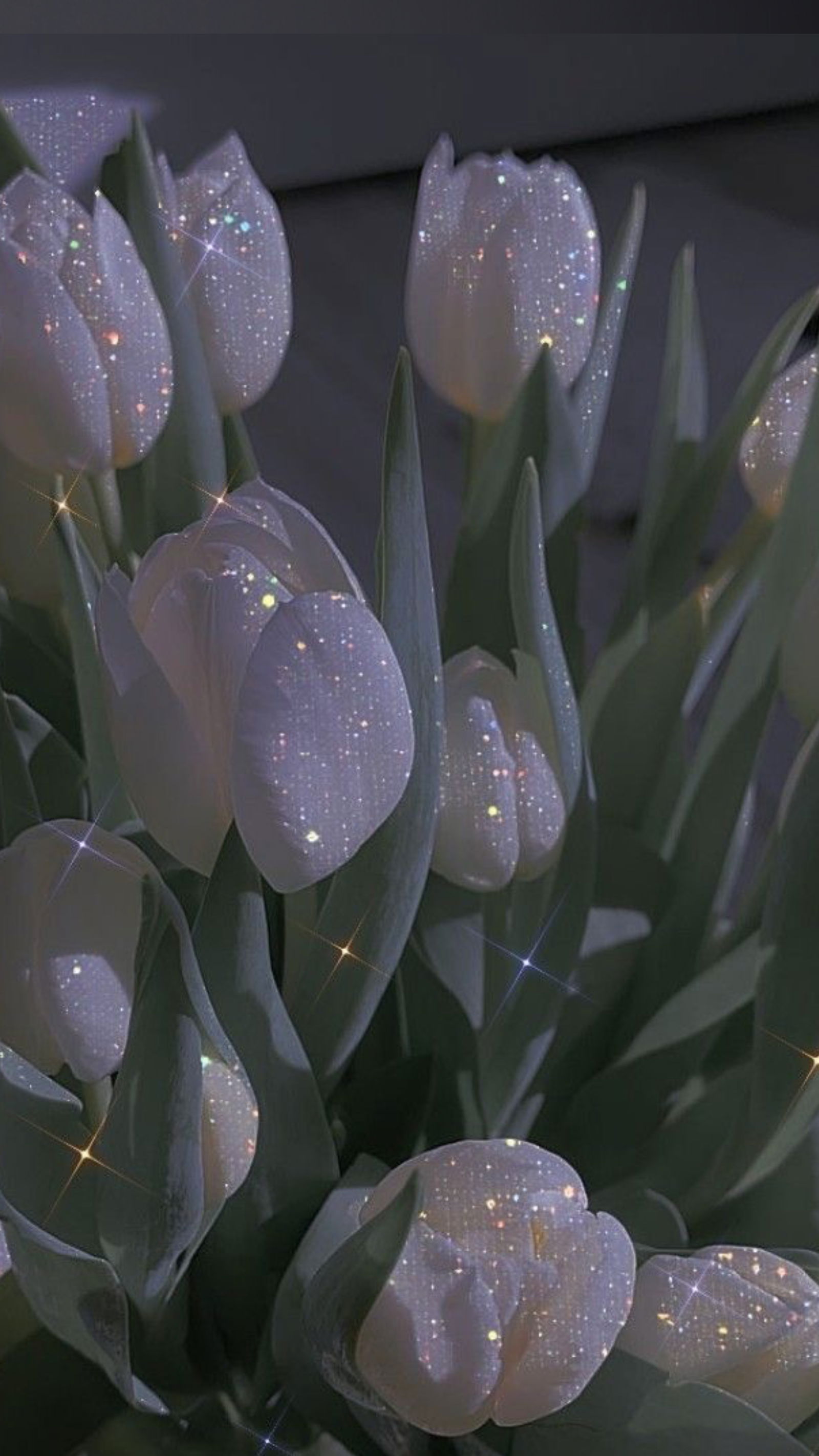 tattedbaddie67 banner