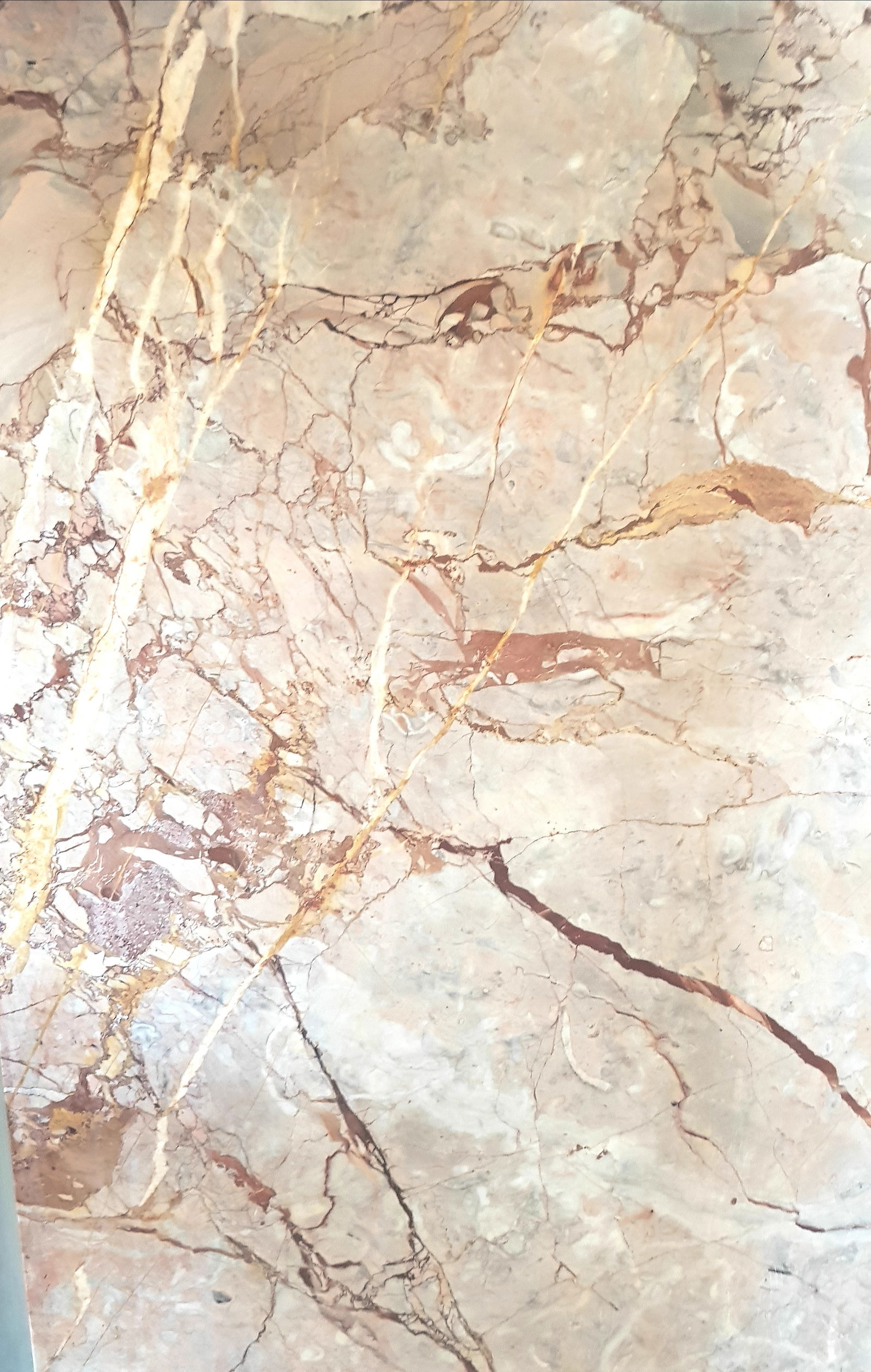 tattooedgingerlad banner