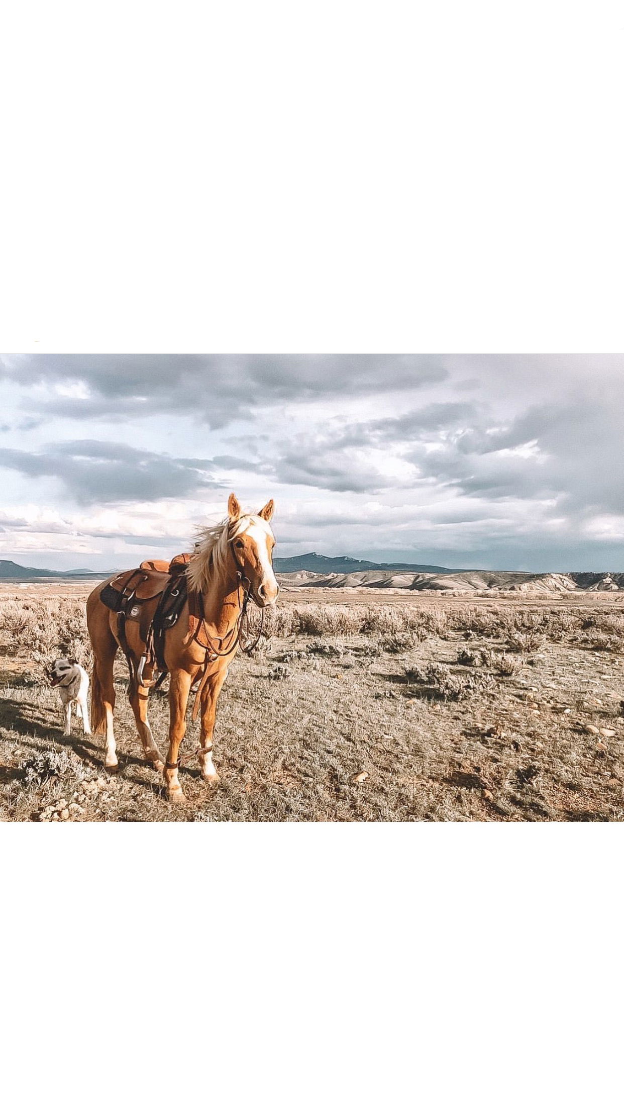 Taylee profile banner