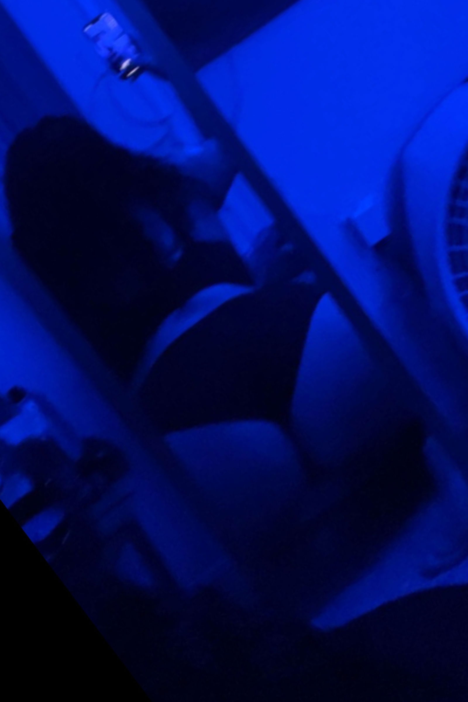 taylor profile banner