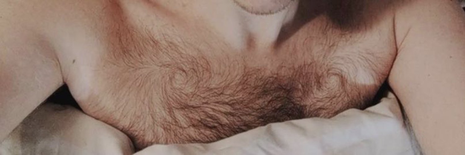 Bottom Teddy Bear profile banner