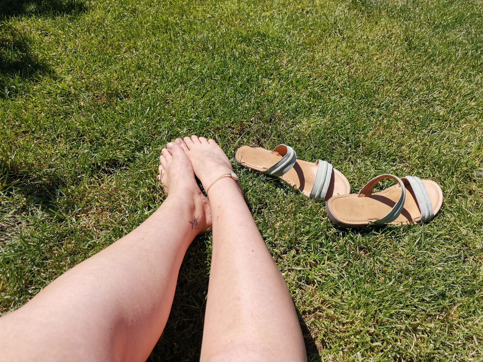 Ten Tiny Toes profile banner