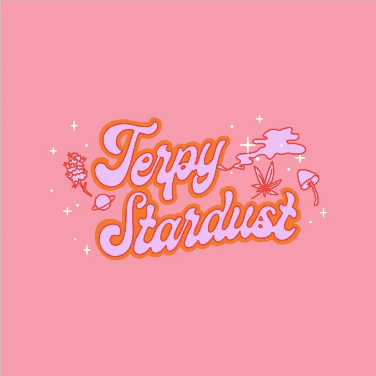 Kitten profile banner