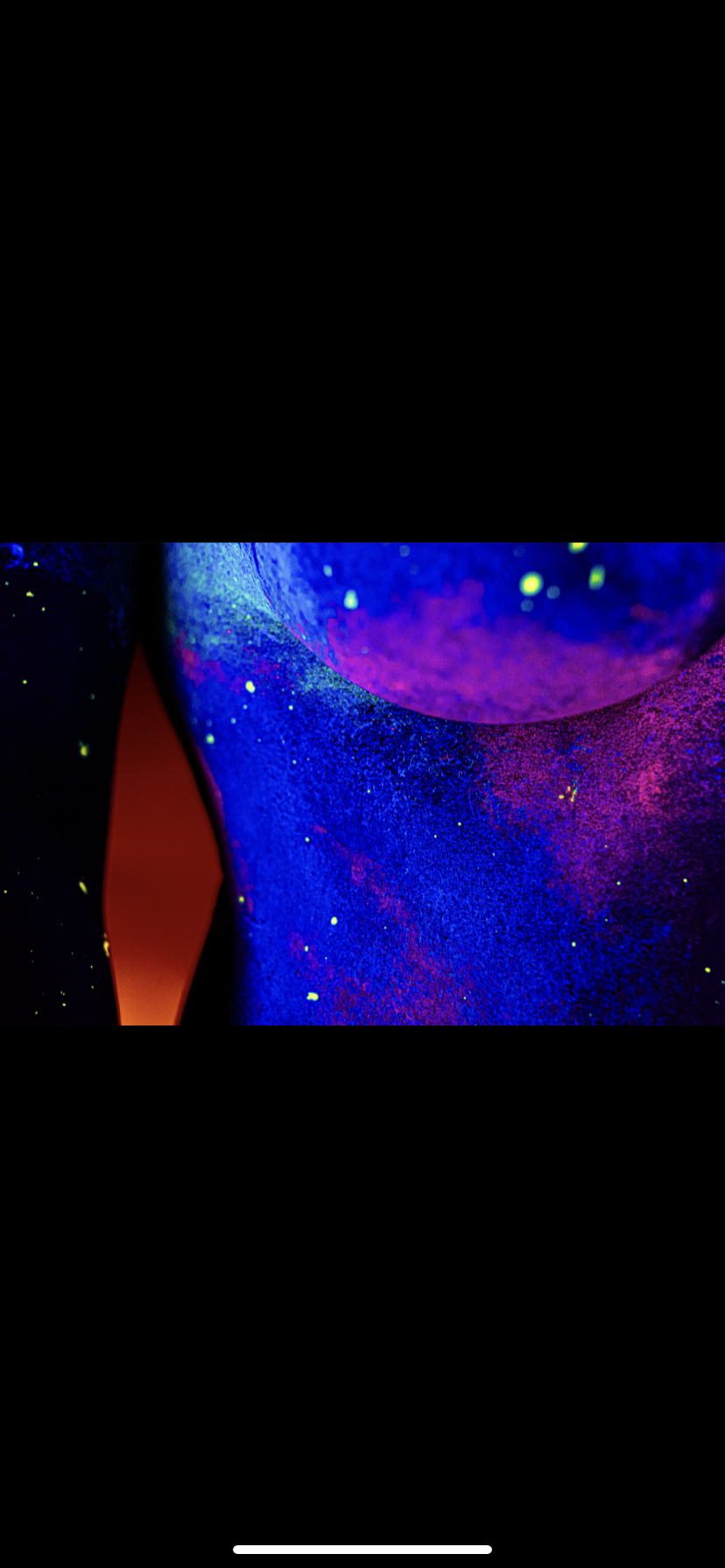 Tessa profile banner