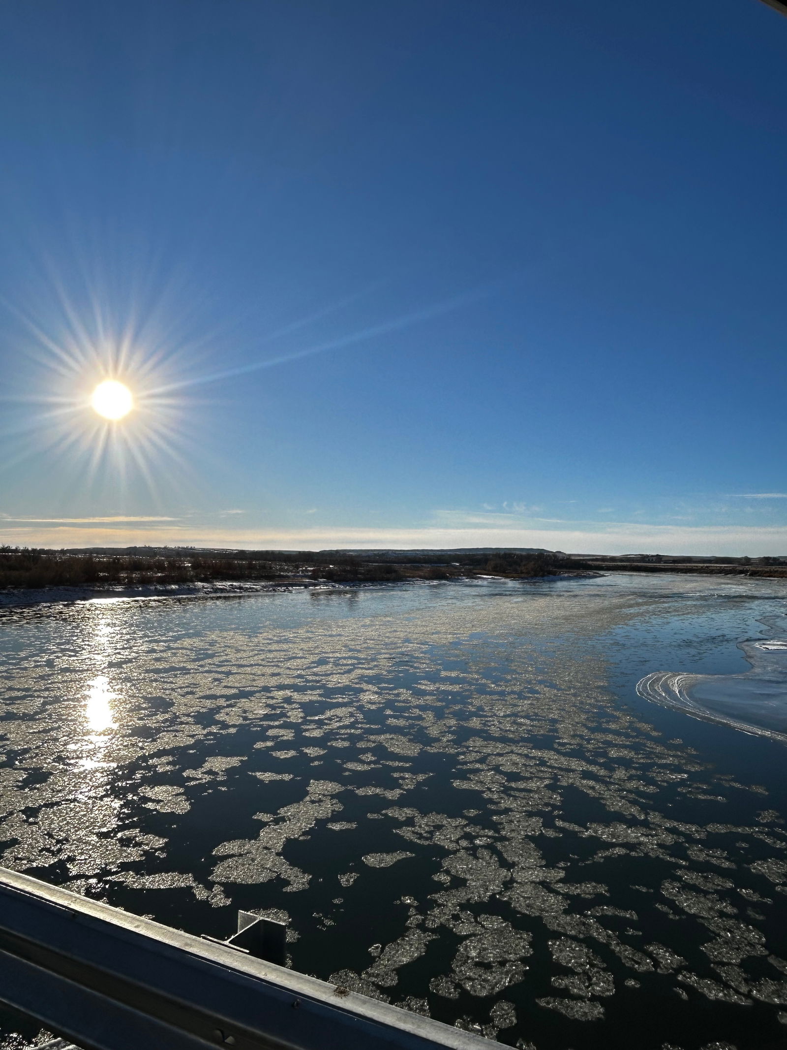 thatbrunettebabe91 banner