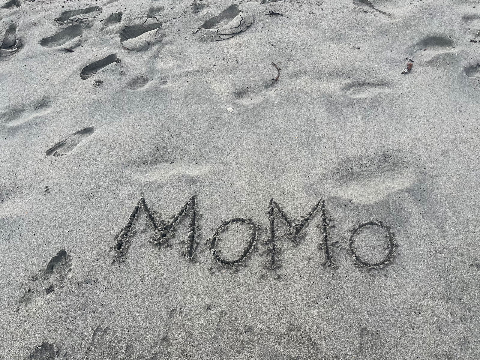 FREEMOMO profile banner